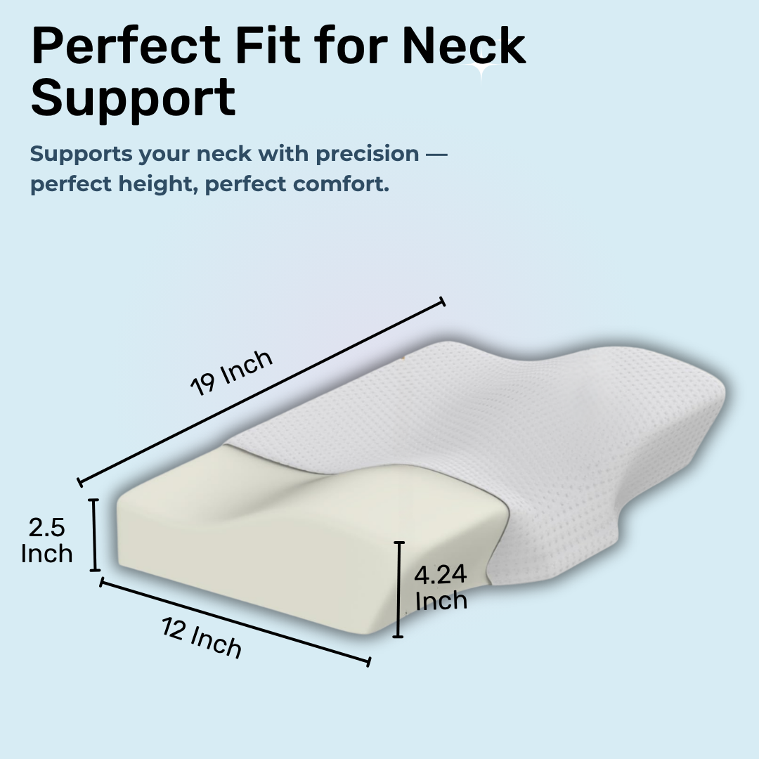 Napzio Anti Snore Cervical Memory Foam Pillow